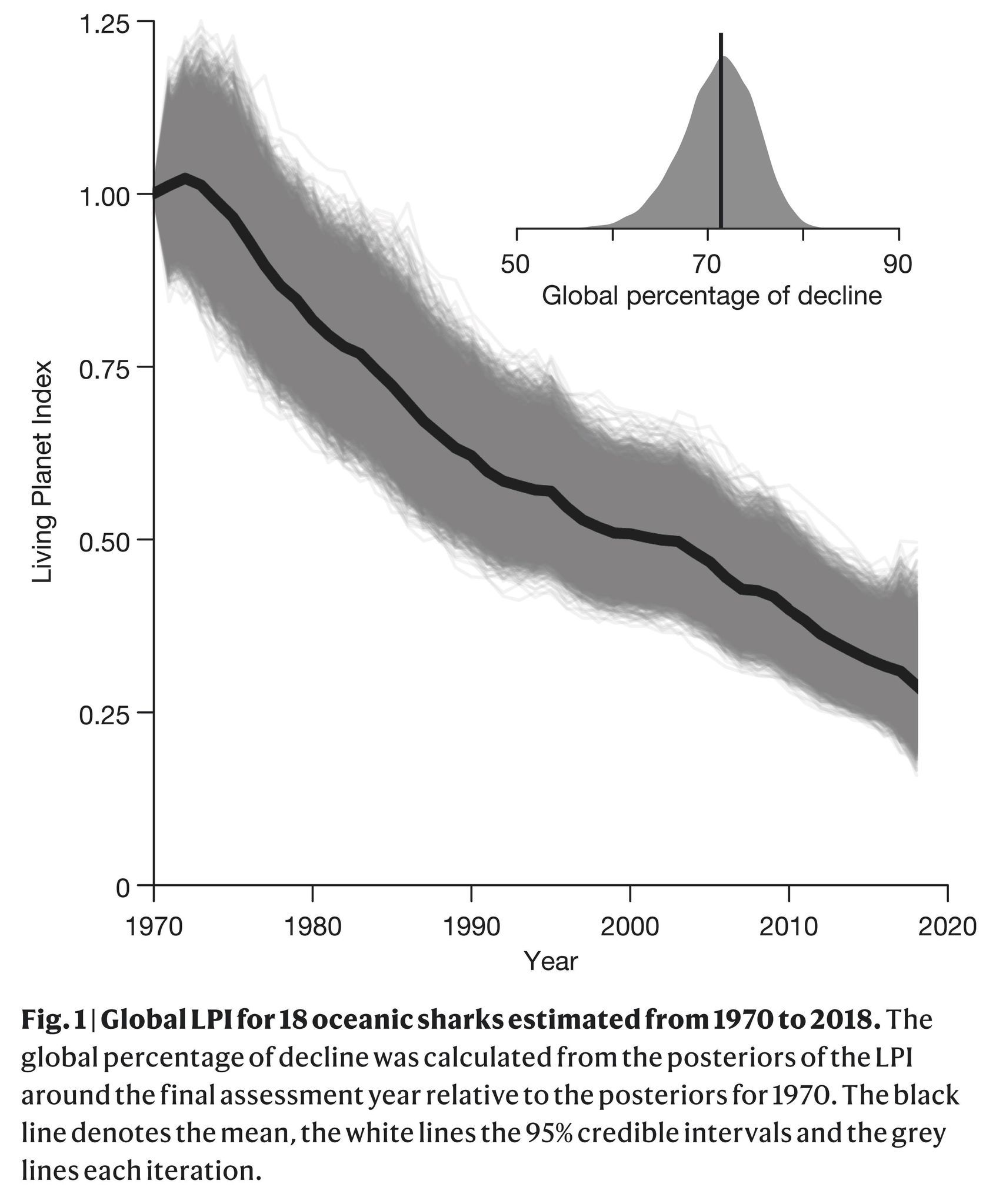 全球表層鯊魚及魟資源下降量評估